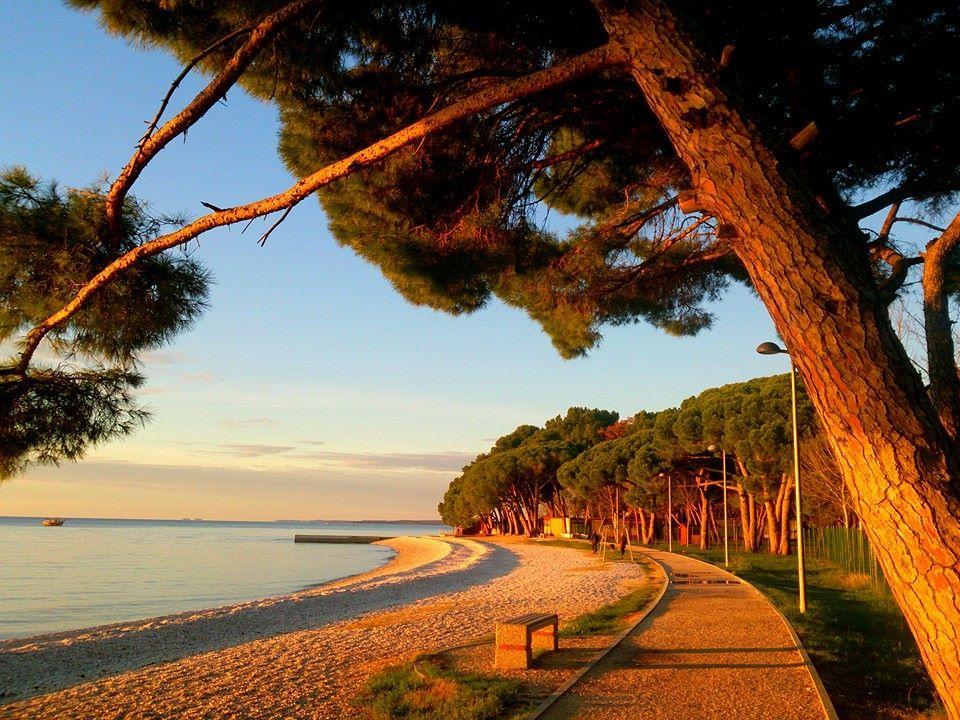 Apartments Dorde & Anna Fažana Dış mekan fotoğraf